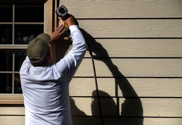 Best Historical Building Siding Restoration  in Forrest, IL