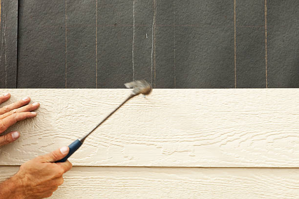 Best Custom Trim and Detailing for Siding  in Forrest, IL