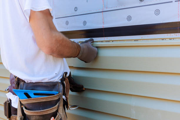 Best Insulated Siding Installation  in Forrest, IL